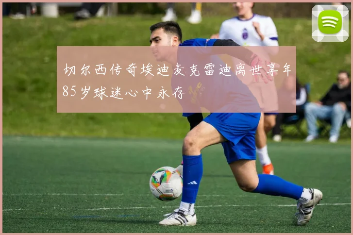切尔西传奇埃迪麦克雷迪离世享年85岁球迷心中永存